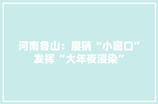 河南鲁山：展销“小窗口”发挥“大年夜浸染”
