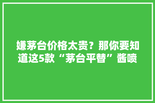 嫌茅台价格太贵？那你要知道这5款“茅台平替”酱喷鼻香酒好喝不贵
