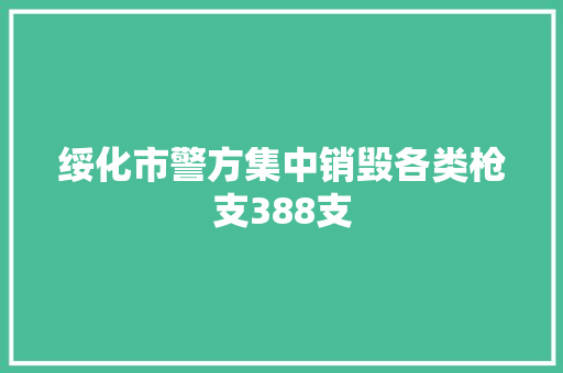 绥化市警方集中销毁各类枪支388支
