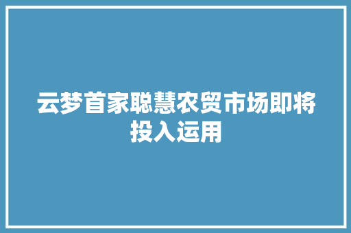 云梦首家聪慧农贸市场即将投入运用