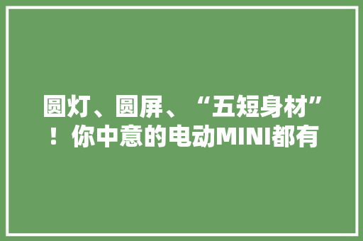 圆灯、圆屏、“五短身材”！你中意的电动MINI都有