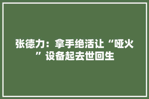 张德力：拿手绝活让“哑火”设备起去世回生