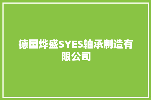 德国烨盛SYES轴承制造有限公司