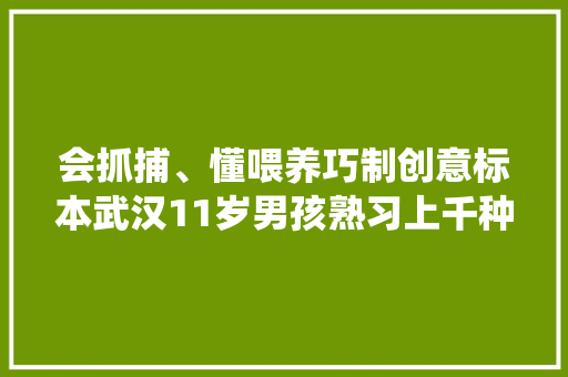 会抓捕、懂喂养巧制创意标本武汉11岁男孩熟习上千种昆虫