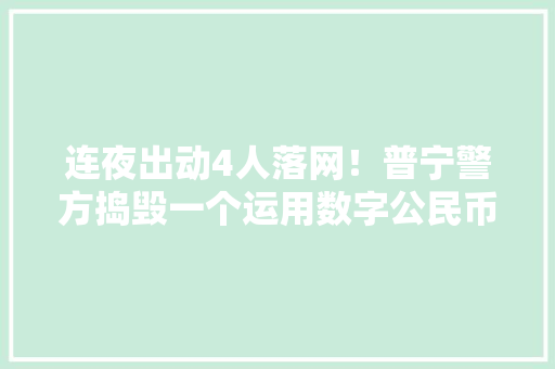 连夜出动4人落网！普宁警方捣毁一个运用数字公民币模式实施“跑分”犯罪团伙