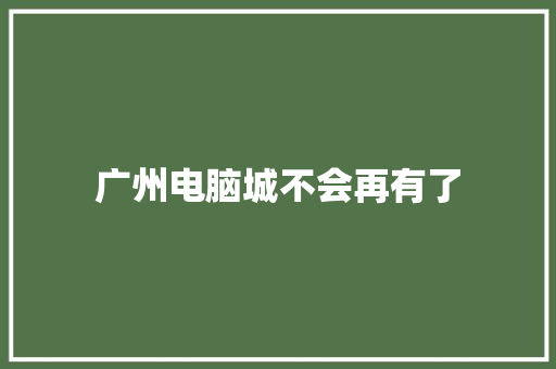 广州电脑城不会再有了