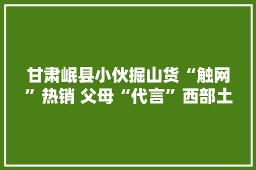 甘肃岷县小伙掘山货“触网”热销 父母“代言”西部土味
