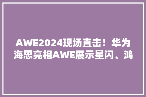 AWE2024现场直击！华为海思亮相AWE展示星闪、鸿鹄等核心技能