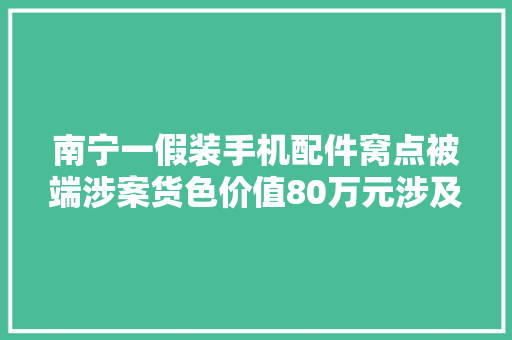 南宁一假装手机配件窝点被端涉案货色价值80万元涉及多个品牌