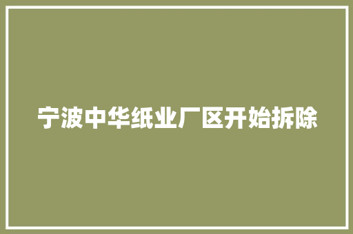 宁波中华纸业厂区开始拆除