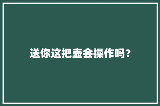 送你这把壶会操作吗？