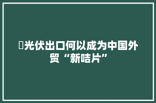 ​光伏出口何以成为中国外贸“新咭片”