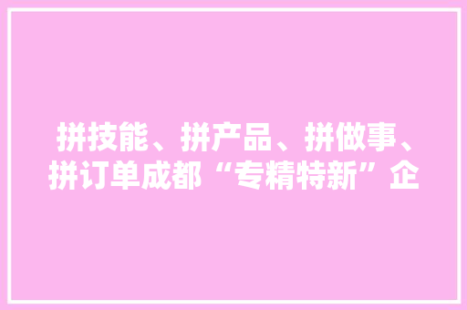 拼技能、拼产品、拼做事、拼订单成都“专精特新”企业火力全开！