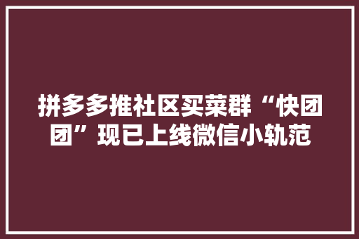 拼多多推社区买菜群“快团团”现已上线微信小轨范