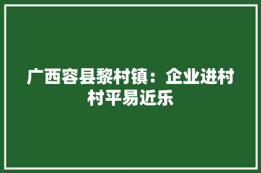 广西容县黎村镇：企业进村村平易近乐