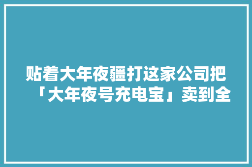 贴着大年夜疆打这家公司把「大年夜号充电宝」卖到全球第二｜隐形巨擘