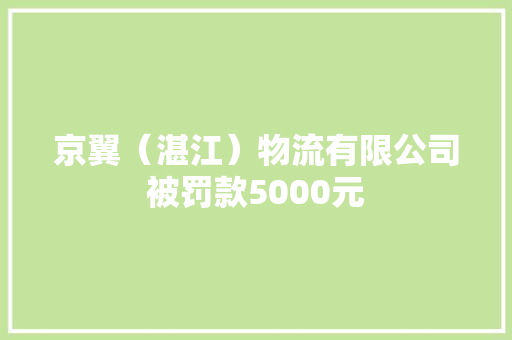 京翼（湛江）物流有限公司被罚款5000元