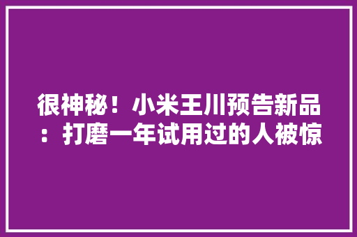 很神秘！小米王川预告新品：打磨一年试用过的人被惊到