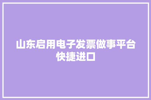 山东启用电子发票做事平台快捷进口