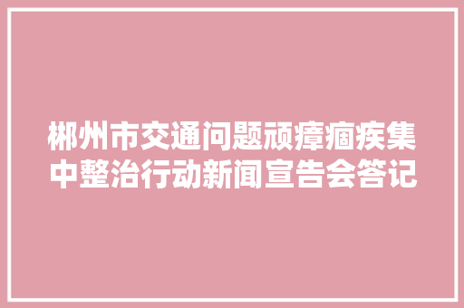 郴州市交通问题顽瘴痼疾集中整治行动新闻宣告会答记者问摘录