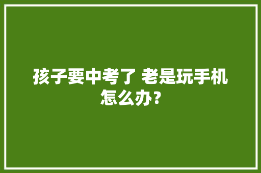 孩子要中考了 老是玩手机怎么办？