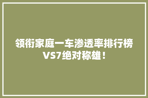 领衔家庭一车渗透率排行榜VS7绝对称雄！