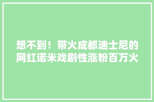 想不到！带火成都迪士尼的网红诺米戏剧性涨粉百万火爆抖音