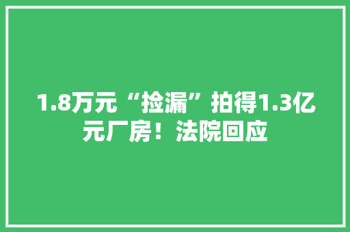 1.8万元“捡漏”拍得1.3亿元厂房！法院回应