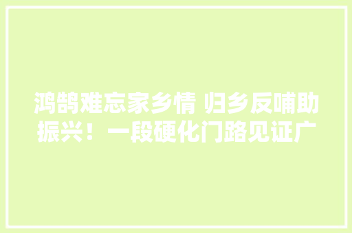 鸿鹄难忘家乡情 归乡反哺助振兴！一段硬化门路见证广水这位乡贤“幸福家园”情怀