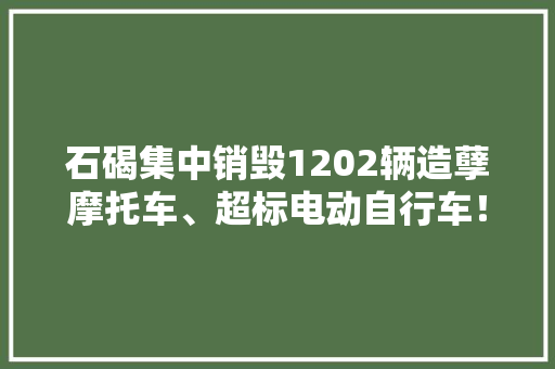 石碣集中销毁1202辆造孽摩托车、超标电动自行车！