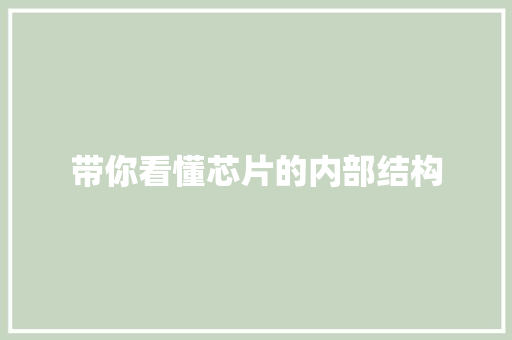 带你看懂芯片的内部结构