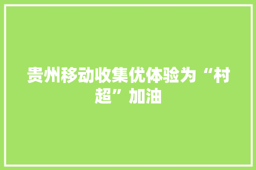 贵州移动收集优体验为“村超”加油