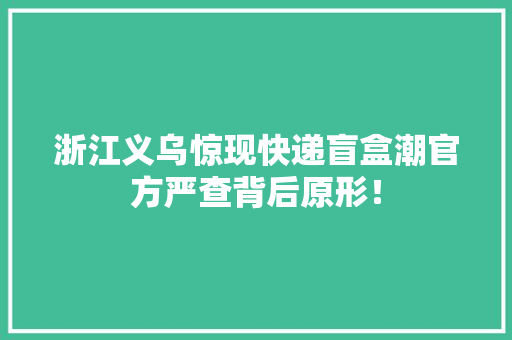 浙江义乌惊现快递盲盒潮官方严查背后原形！