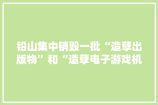 铅山集中销毁一批“造孽出版物”和“造孽电子游戏机”