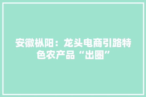 安徽枞阳：龙头电商引路特色农产品“出圈”