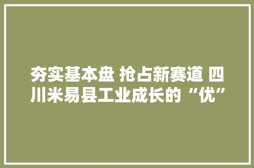 夯实基本盘 抢占新赛道 四川米易县工业成长的“优”与“新”