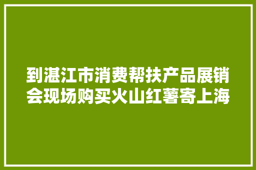 到湛江市消费帮扶产品展销会现场购买火山红薯寄上海珠海亲人同伙