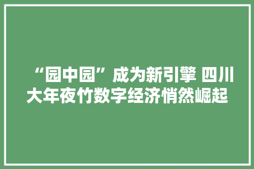 “园中园”成为新引擎 四川大年夜竹数字经济悄然崛起