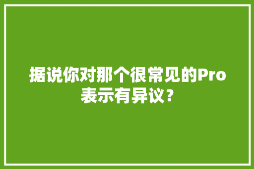据说你对那个很常见的Pro表示有异议？