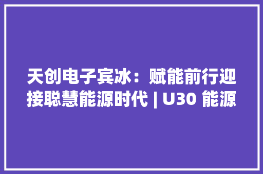天创电子宾冰：赋能前行迎接聪慧能源时代 | U30 能源