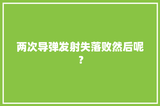 两次导弹发射失落败然后呢？