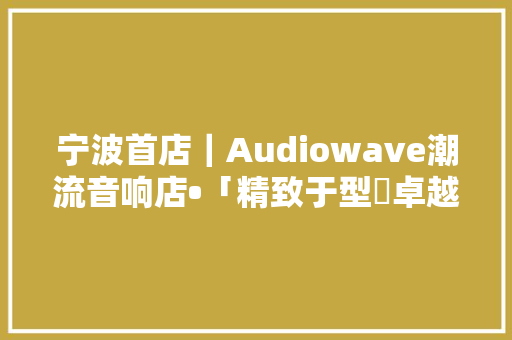 宁波首店｜Audiowave潮流音响店•「精致于型‌卓越于音」