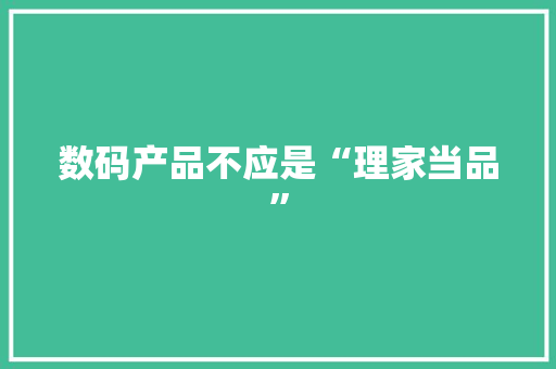 数码产品不应是“理家当品”