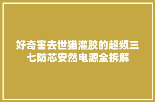 好奇害去世猫灌胶的超频三七防芯安然电源全拆解