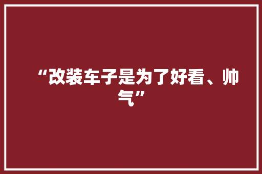 “改装车子是为了好看、帅气”