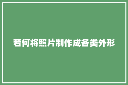 若何将照片制作成各类外形
