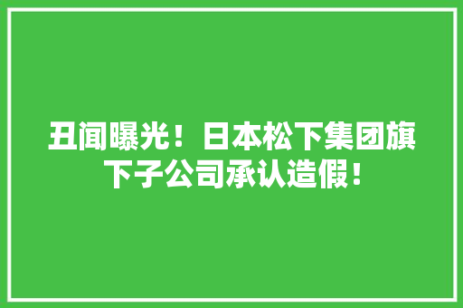 丑闻曝光！日本松下集团旗下子公司承认造假！