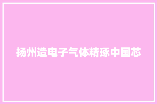 扬州造电子气体精琢中国芯