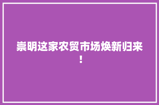 崇明这家农贸市场焕新归来！