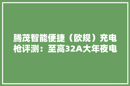 腾茂智能便捷（欧规）充电枪评测：至高32A大年夜电流自带 LED 数显屏